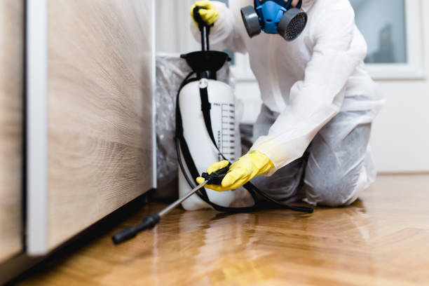 Best Pest Inspection Near Me  in Trowbridge Park, MI