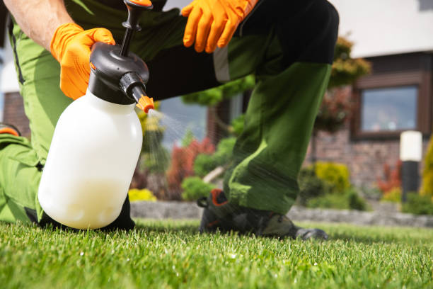 Best Flea Control Services  in Trowbridge Park, MI