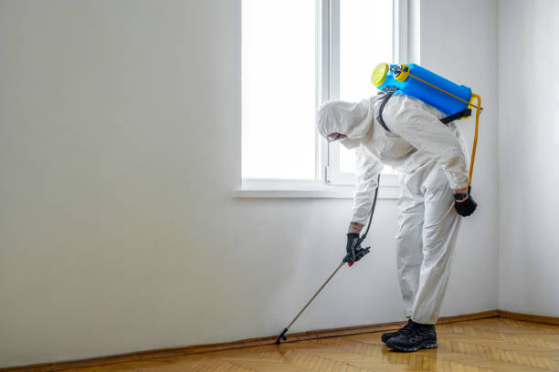 Best Affordable Pest Control Services  in Trowbridge Park, MI