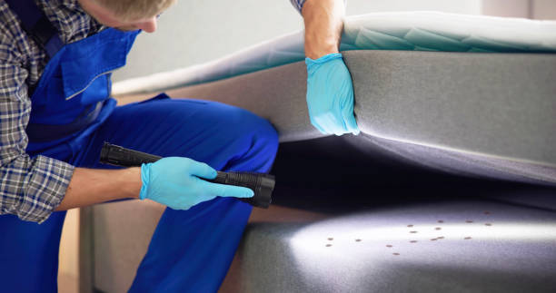 Best Affordable Pest Control Services  in Trowbridge Park, MI