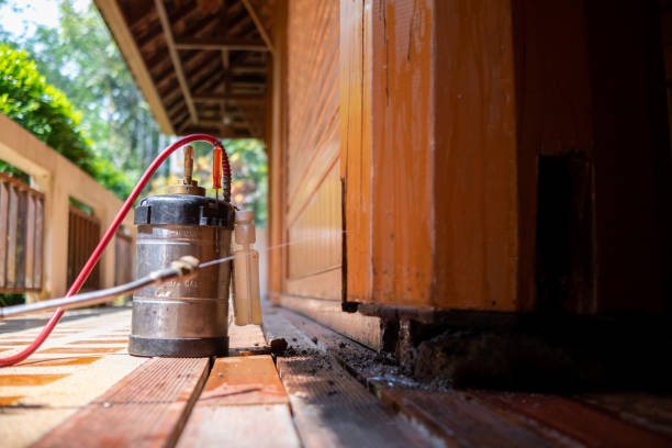 Best Best Pest Control Companies  in Trowbridge Park, MI