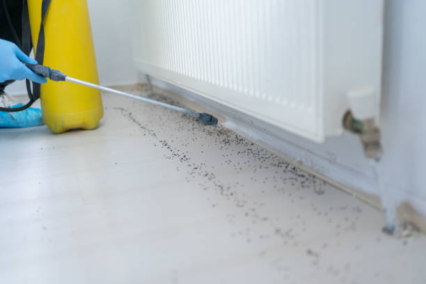 Best Cockroach Control Services  in Trowbridge Park, MI